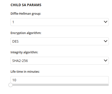PROFILE_VPN_IKEV2_CHILD_SA_PARAMS